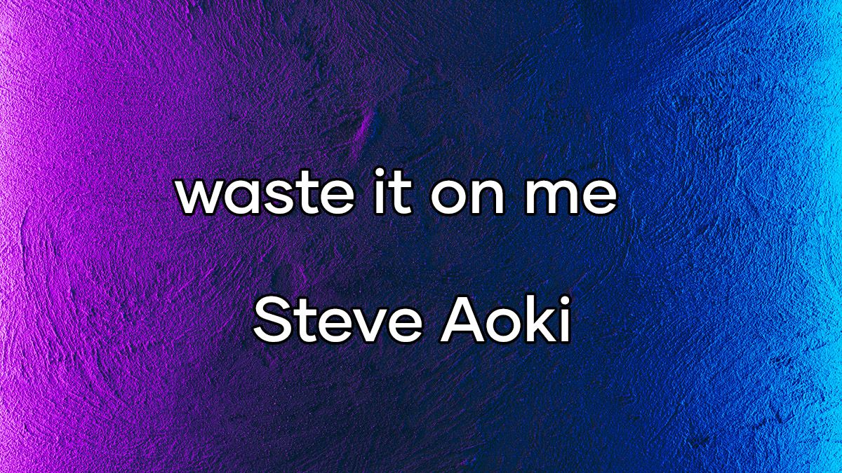 متن و ترجمه آهنگ waste it on me از Steve Aoki