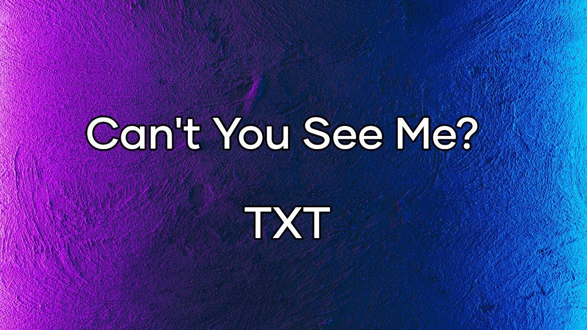 متن و ترجمه آهنگ ?Can't You See Me از TXT